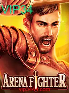 ArenaFighter: A Experiência Imersiva no Mundo dos Jogadores VIP
