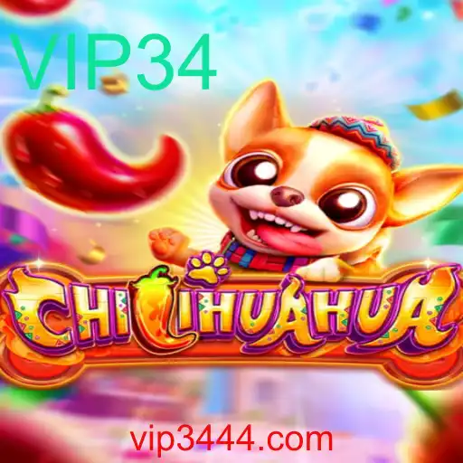 Descubra o Envolvente Jogo CHILIHUAHUA: Uma Nova Mania de Entretenimento