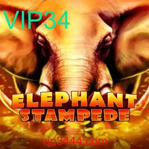 ElephantStampede: Descubra o Empolgante Mundo do Jogo com VIP34